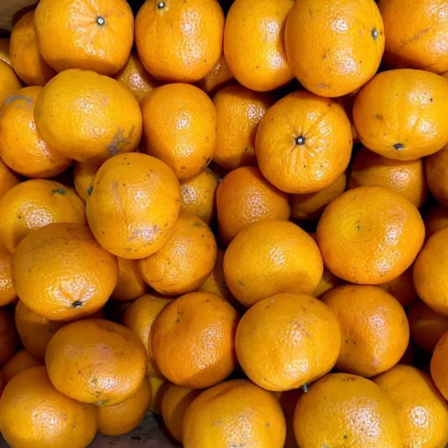 Sweet Mandarin/ orange 1 kg (Australian)