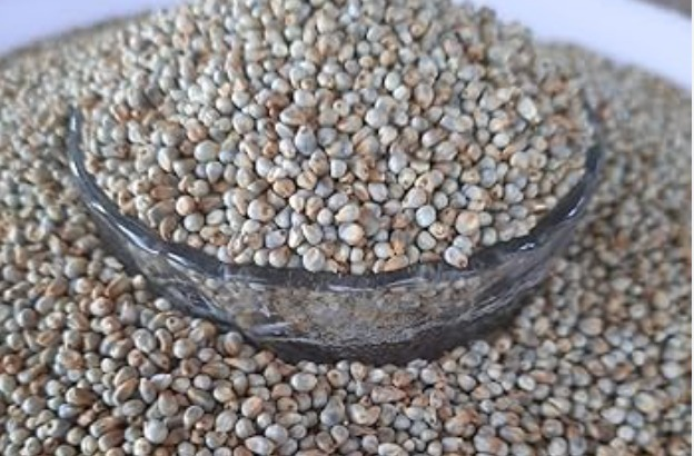 Bajra whole/ Kambu 1 kg