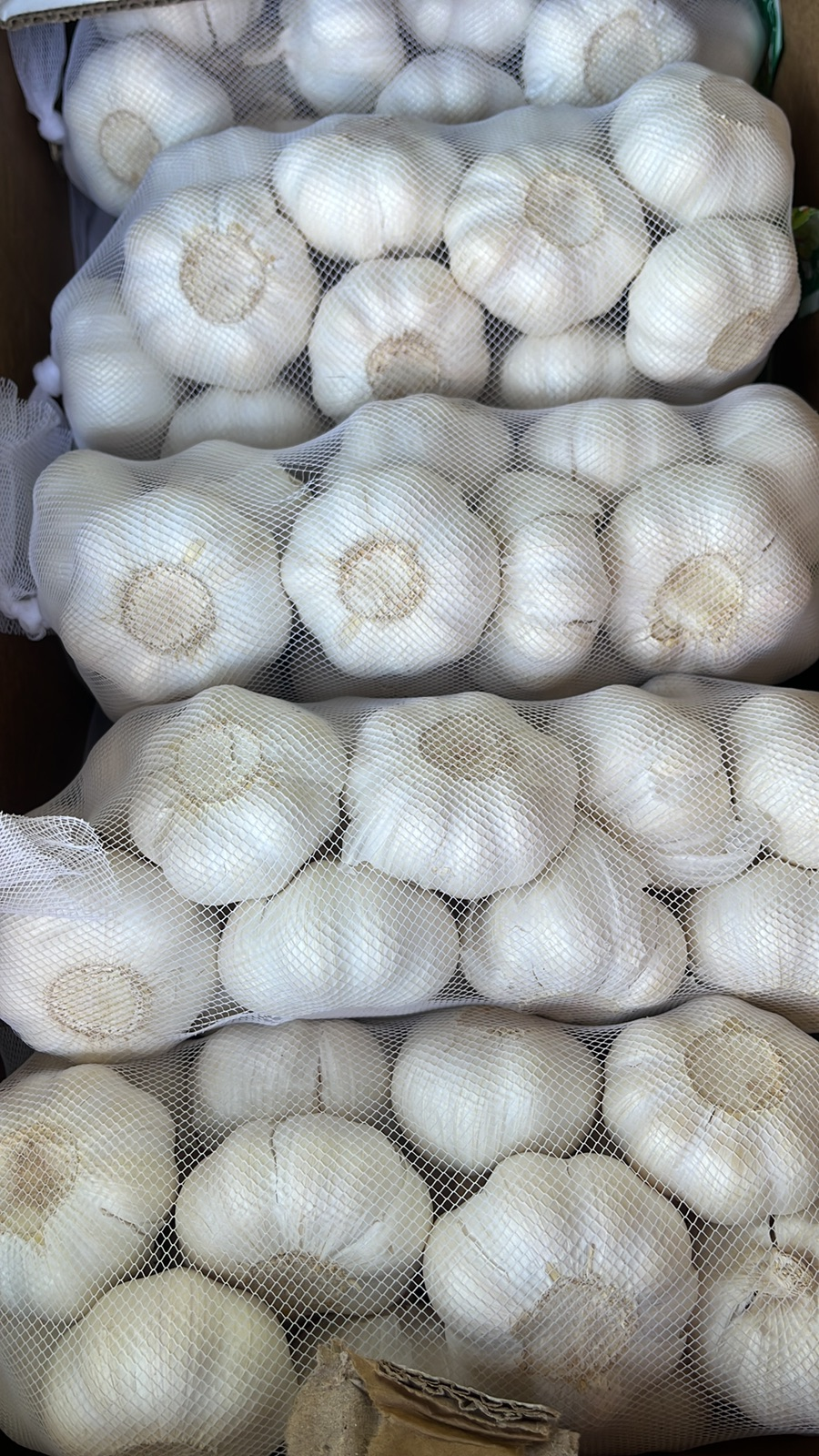 Garlic 500g