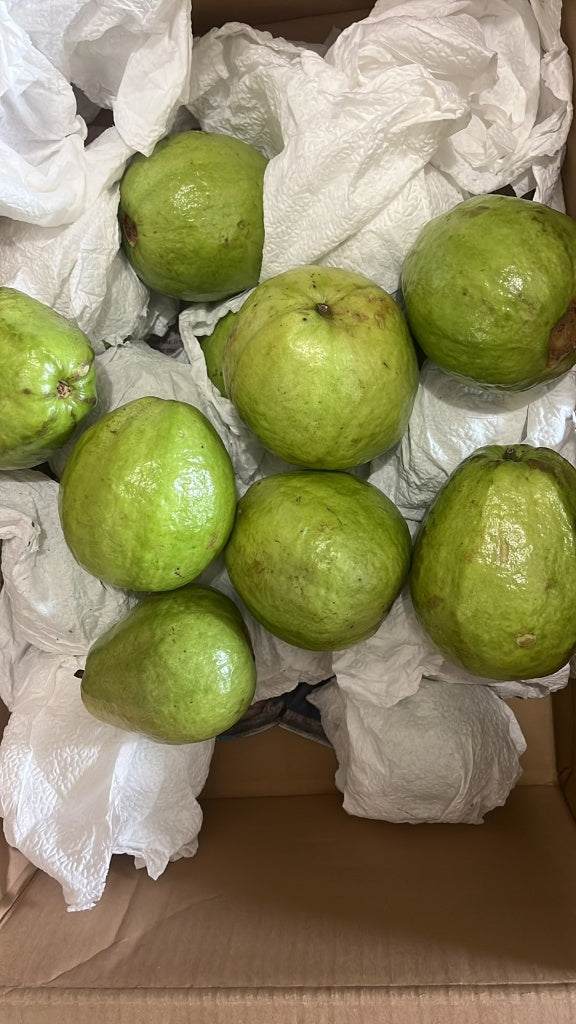 Guava 500g