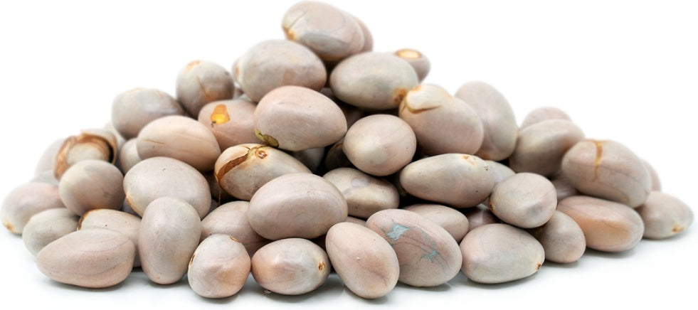 Jack seed 200g