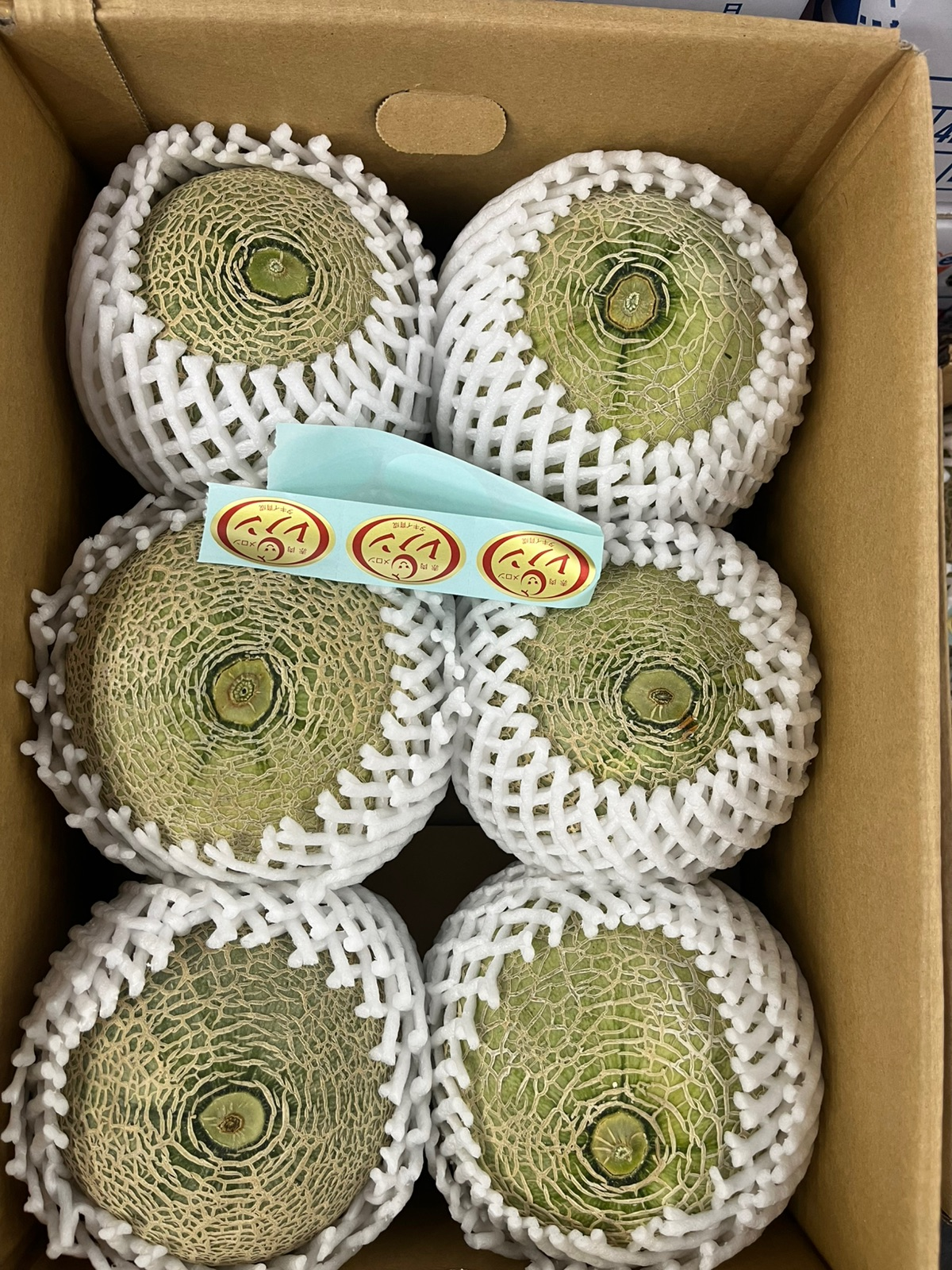 Muskmelon