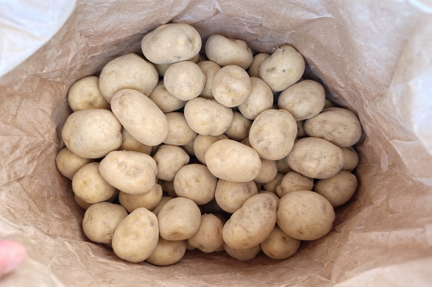 Potato 2 kg S size