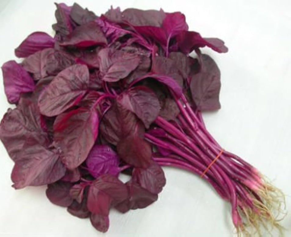 Red Amaranth