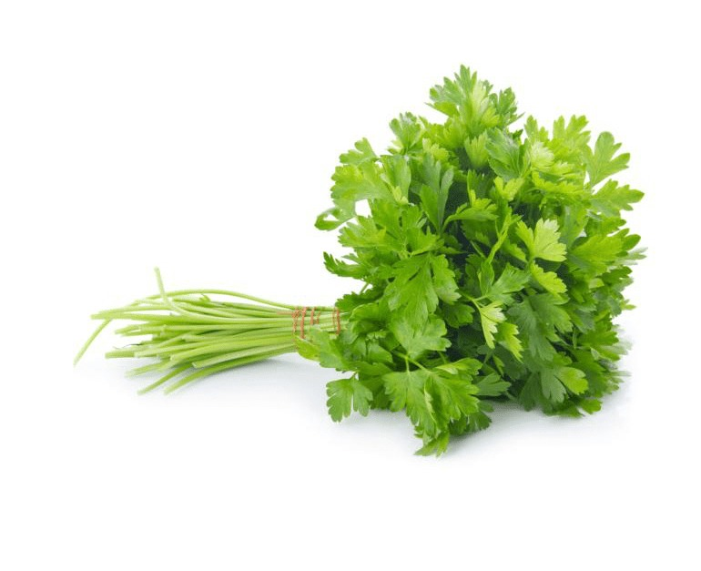 Coriander 100gm