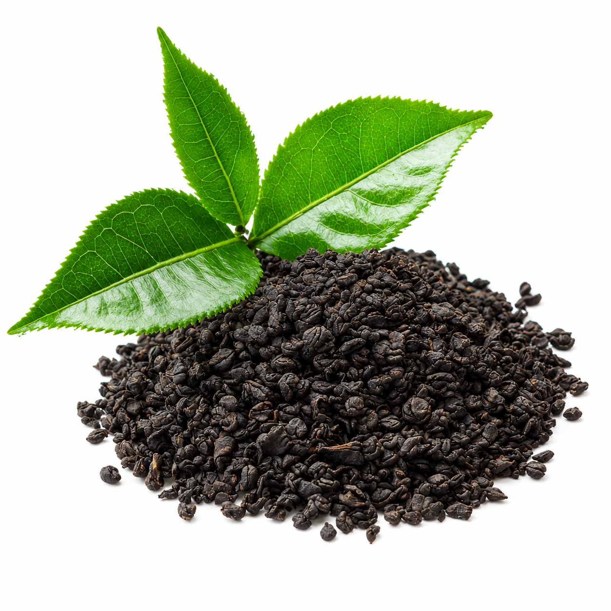 Tea & Healthy Seeds(Chia,Sabja)