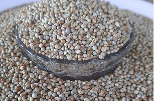 Bajra whole/ Kambu 1 kg