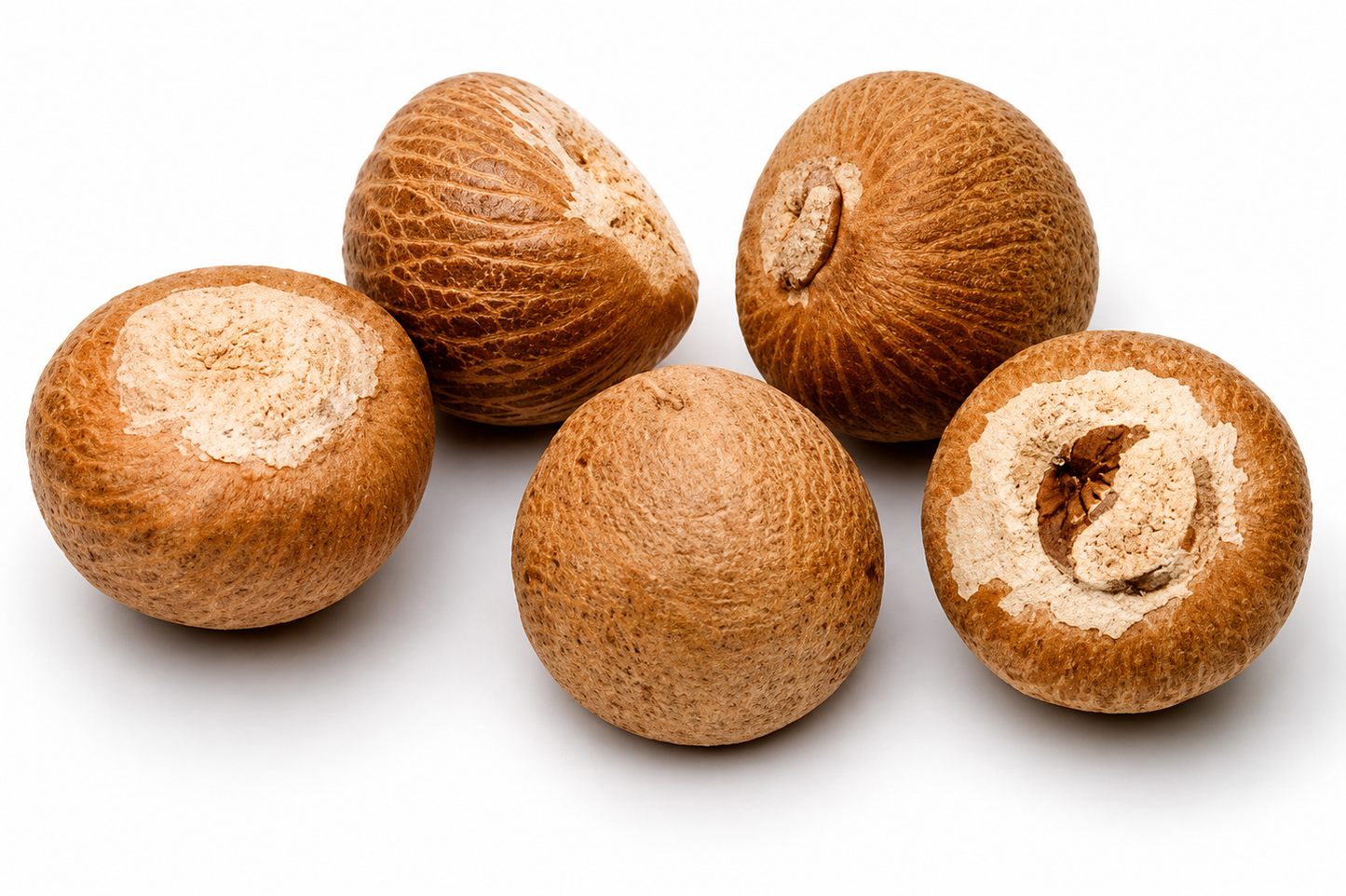 Betel Nut whole 5 pc