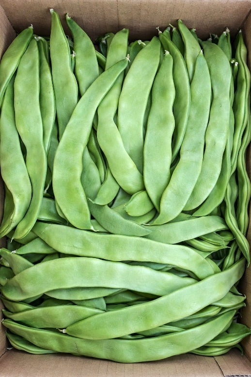 Broad Beans/ Avarakkai 250g