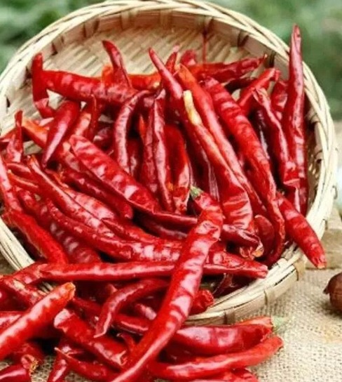 Dry Red chilli 250g