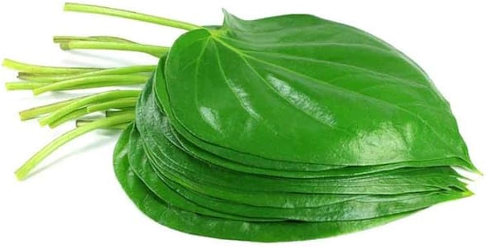 Fresh Indian pan leaves 1 pc