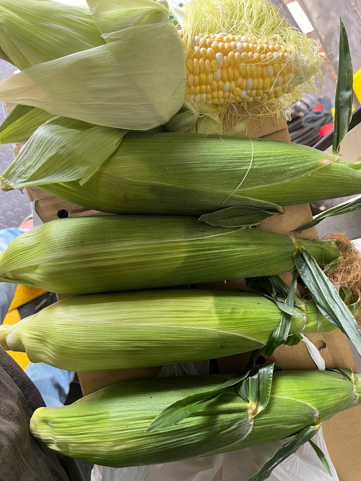 Fresh, sweet corn, 🌽 1 piece