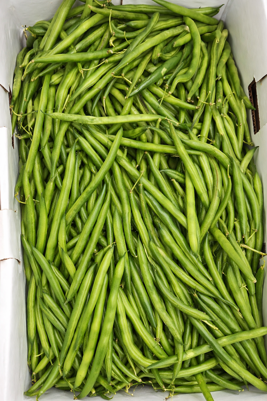 Green Beans 500gm