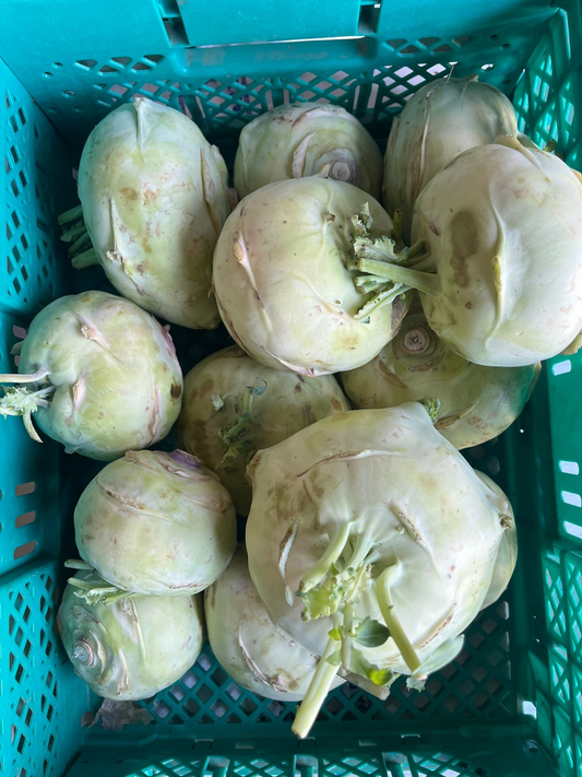 Kohlrabi/ nukal 500g