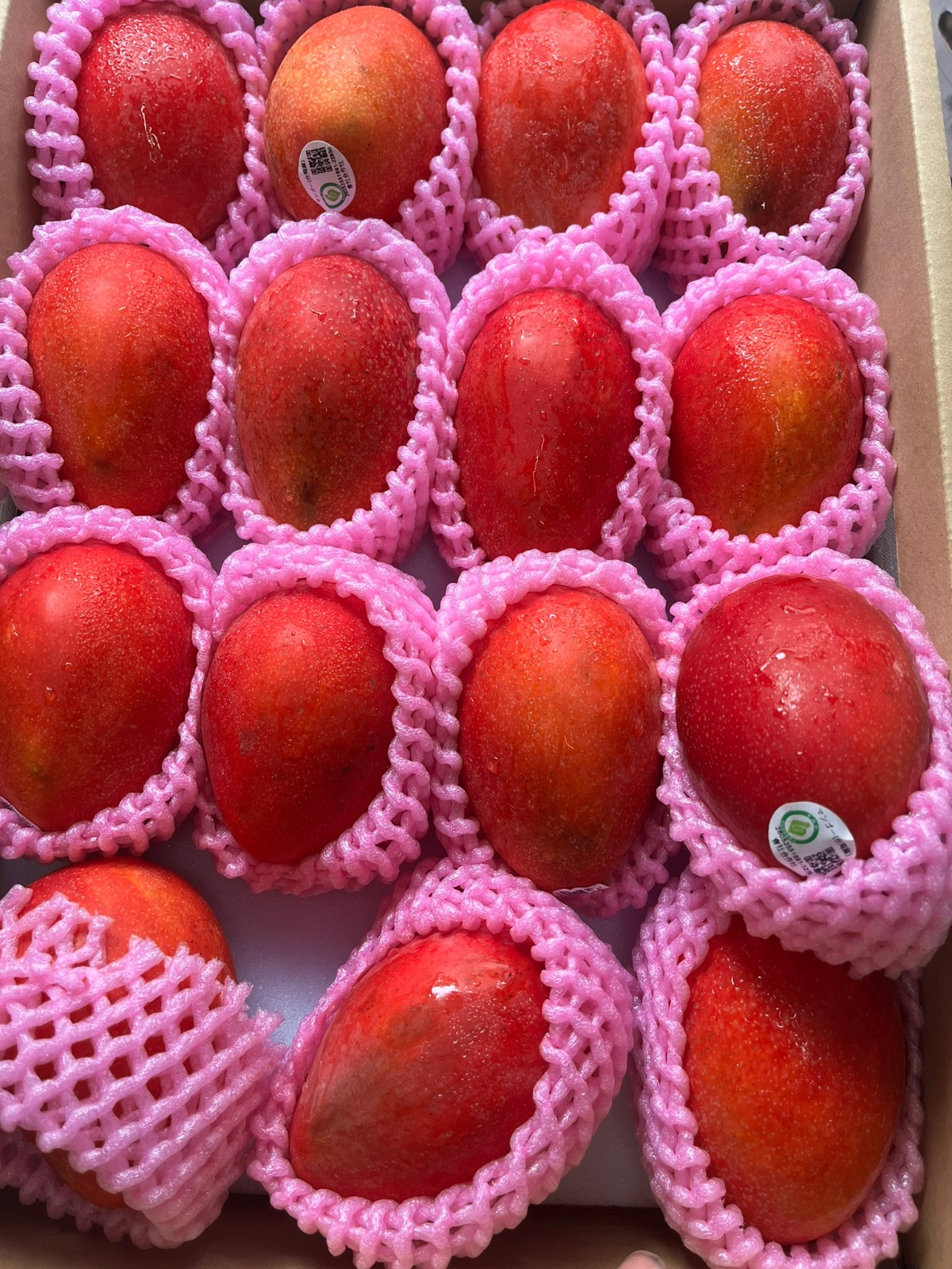 Mango 🥭 4 piece