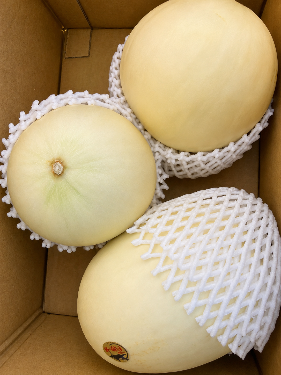 Musk melon 1 piece