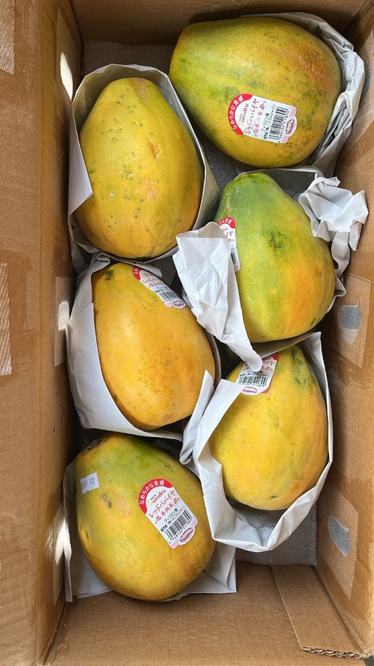 Papaya 1 pc