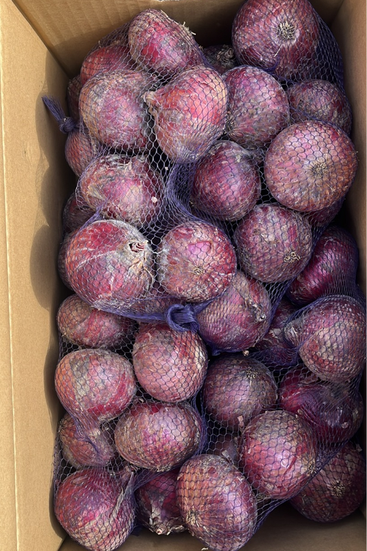 Red onion 1kg