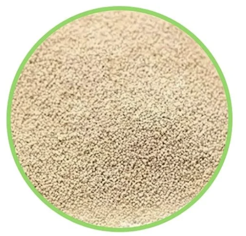 Poppy Seed 100g