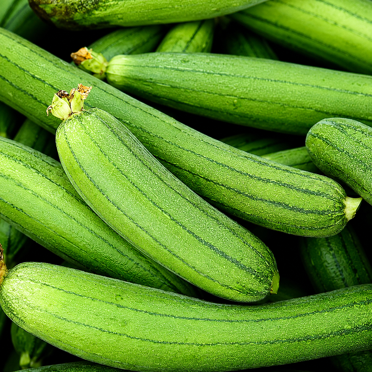 Fresh Sponge Gourd (Turai)  500g