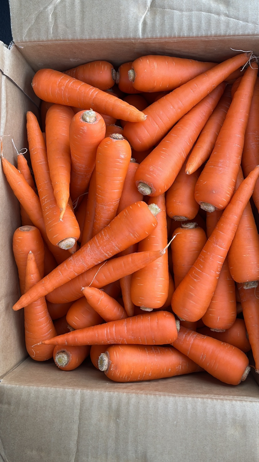 Fresh Carrot 500g