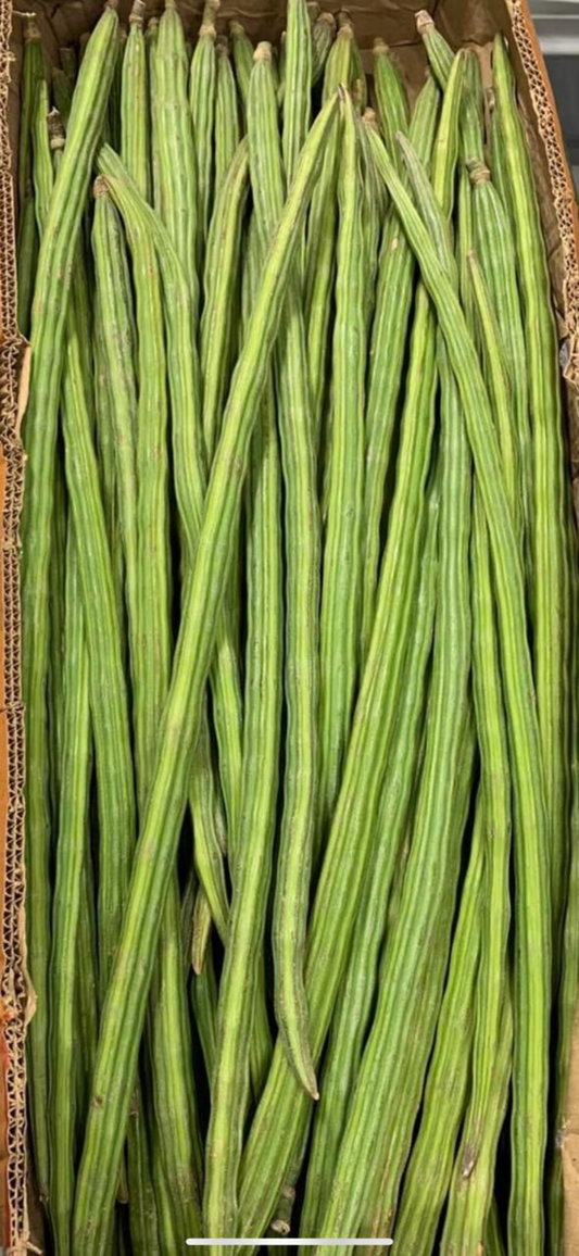 Fresh Indian moringa / Drumstick 1 pc
