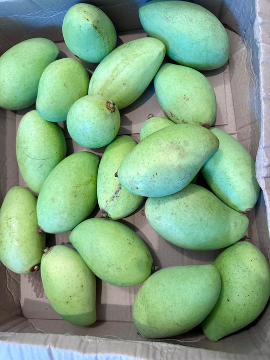 Raw mango/ Green Mango 1 pc